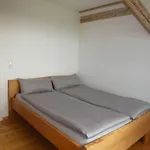 In - Pfaelzerwald 42914 Fischbach