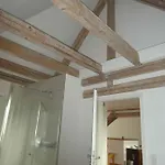 In - Pfaelzerwald 42914