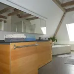 In - Pfaelzerwald 42914