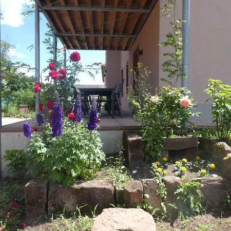 In - Pfaelzerwald 42914