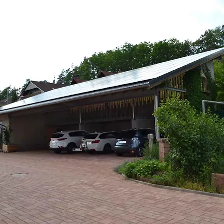 In - Pfaelzerwald 42914