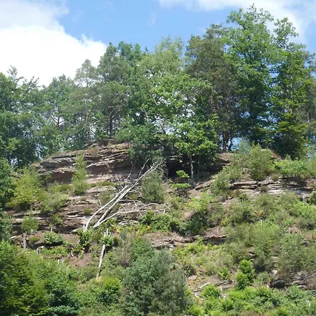 In - Pfaelzerwald 42914 Lägenhet