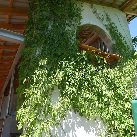 In - Pfaelzerwald 42914 Apartment