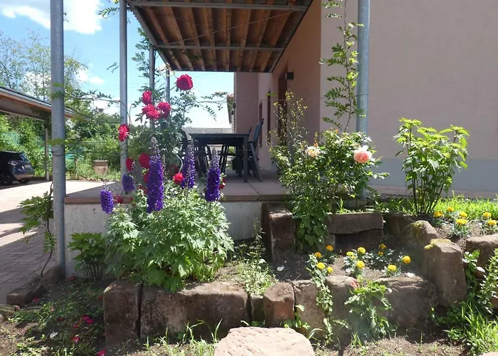 In - Pfaelzerwald 42914