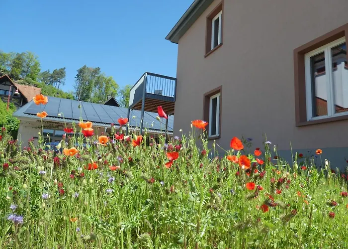 Apartamento In - Pfaelzerwald 42914 *