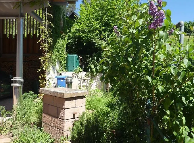 Apartamento In - Pfaelzerwald 42914 *