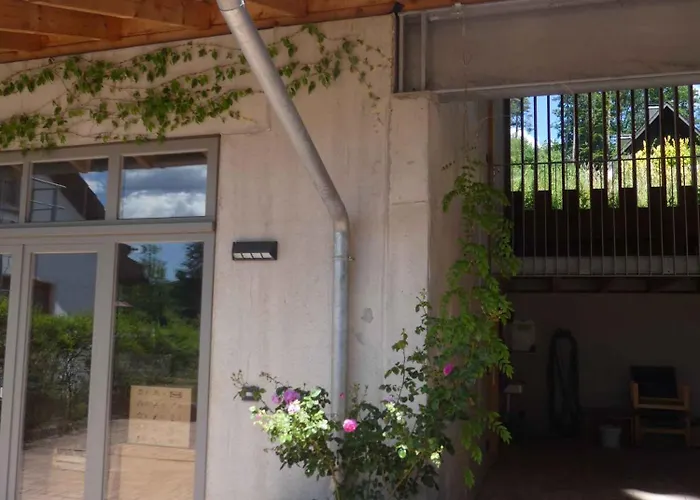 In - Pfaelzerwald 42914 * Fischbach bei Dahn