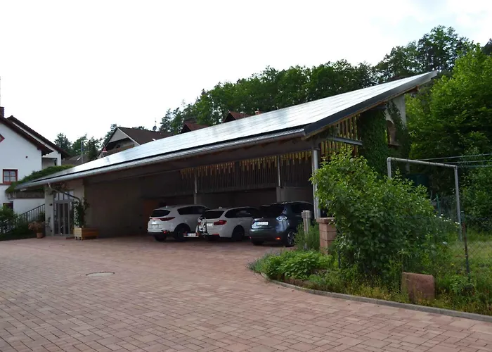 In - Pfaelzerwald 42914