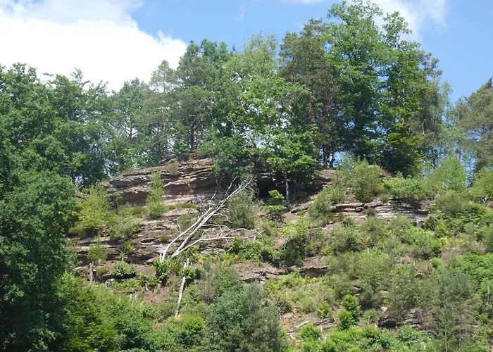 In - Pfaelzerwald 42914 Apartamento