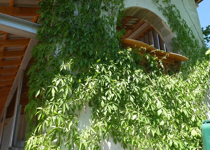 Apartamento In - Pfaelzerwald 42914 Fischbach bei Dahn